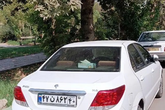 دنا، معمولی