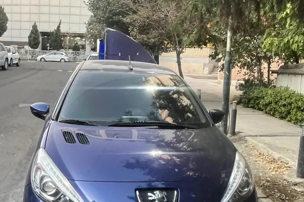 پژو، 207