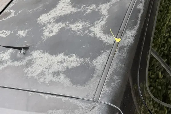 هیوندای، i20