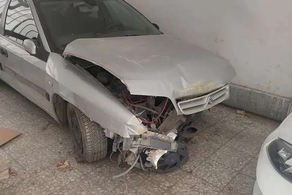 سیتروئن، زانتیا