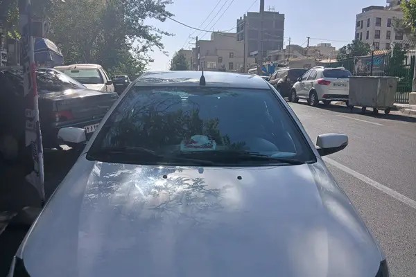 دنا، معمولی