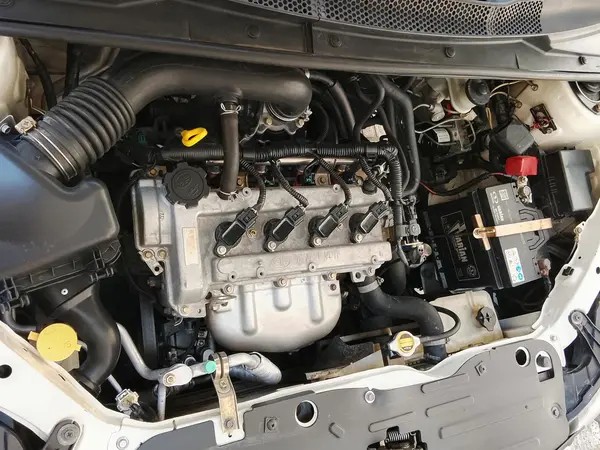 راین، V5