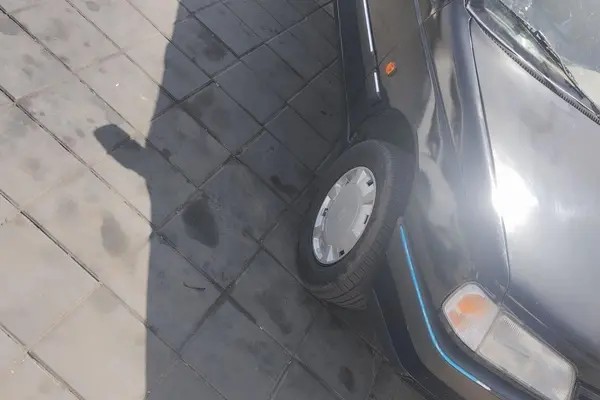پژو، پارس