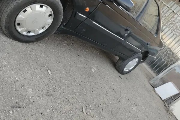 پژو، پارس