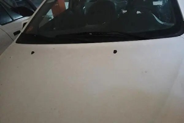 شاهین، G دنده ای