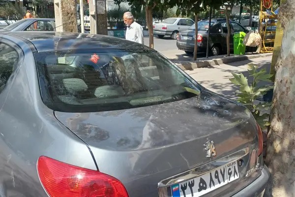 پژو، 206 SD