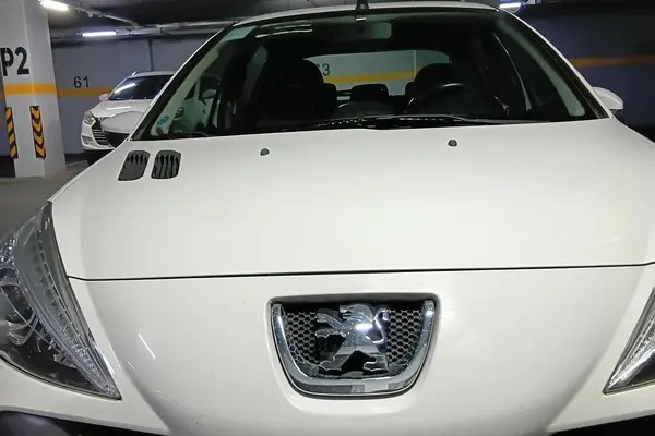 پژو، 207
