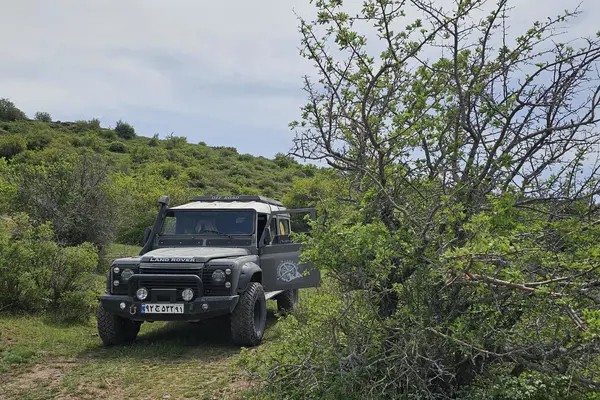پاژن، چهار در