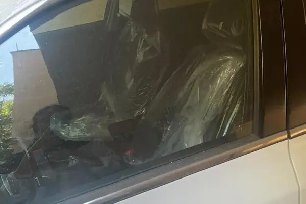 دنا، پلاس EF7