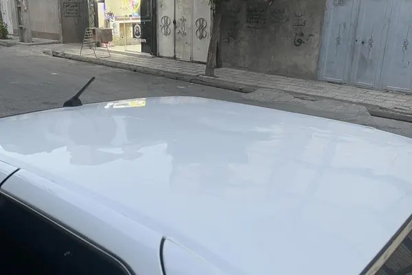 پژو، پارس