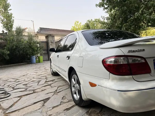 نیسان، ماکسیما