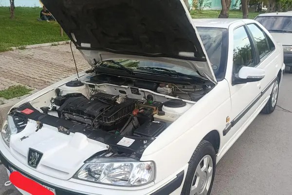 پژو، پارس